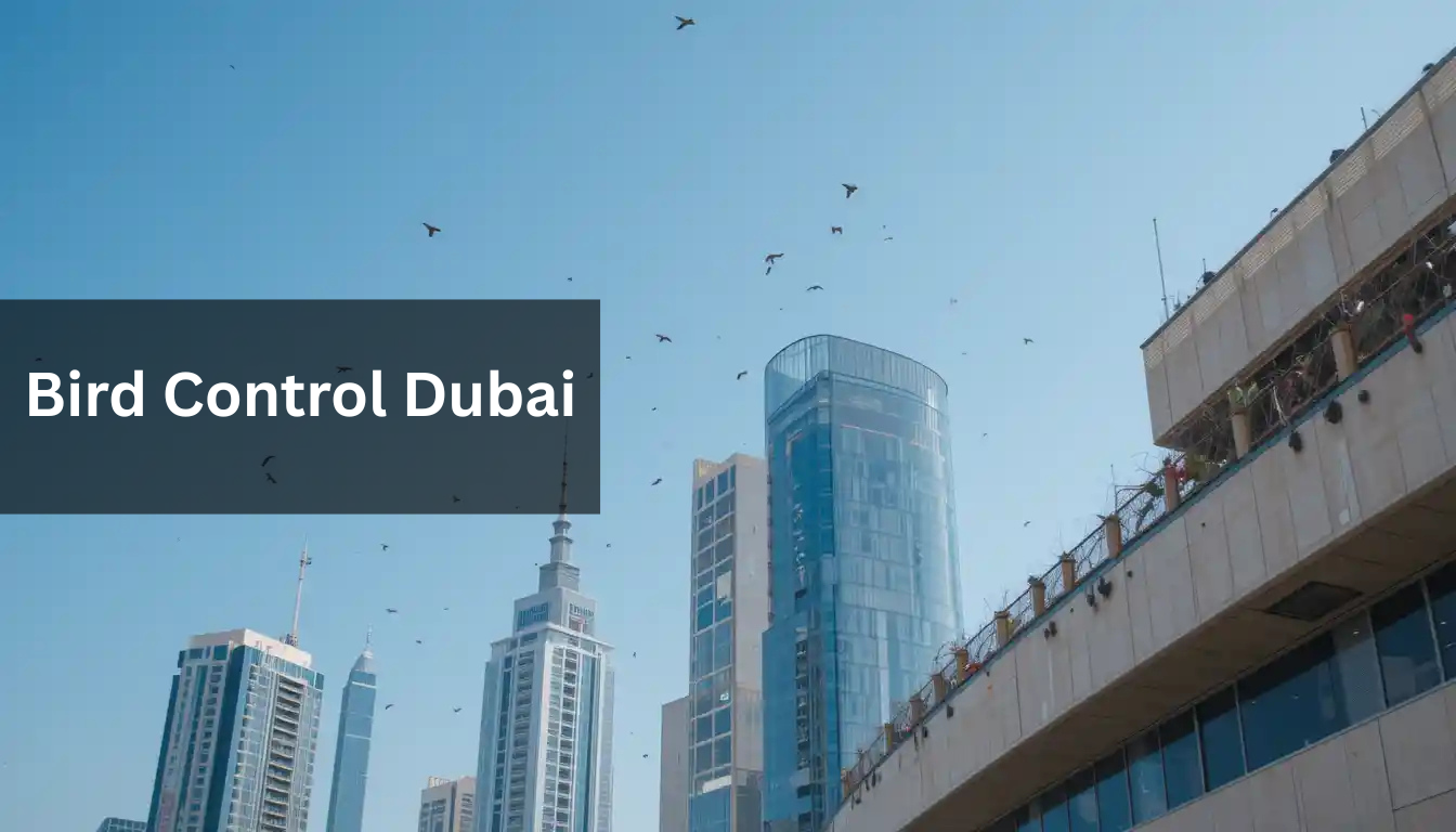 Bird Control Dubai